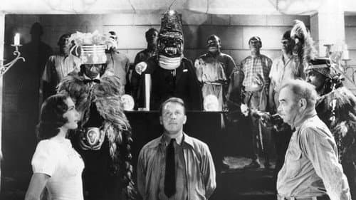 Herr der Zombies Bild 4