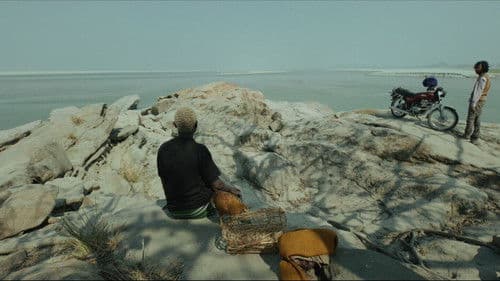 कॉक कॉक कोकूक Bild 1