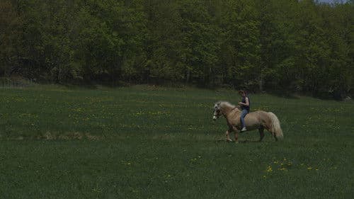 Le plancher des vaches Bild 2