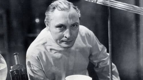 The Vampire Bat Bild 1