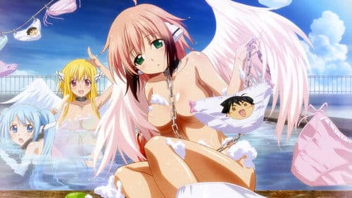 Angeloid Bild 8