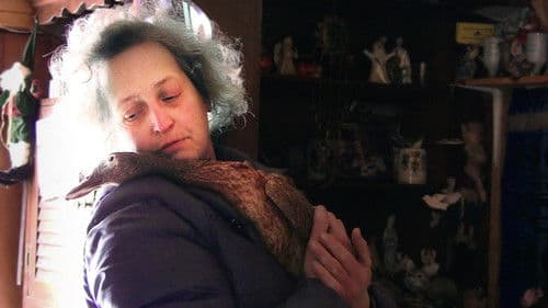 For the Birds Bild 2