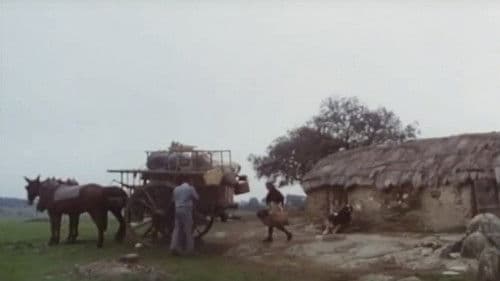 Los santos inocentes Bild 1