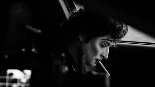 Flor Desierto Bild 1