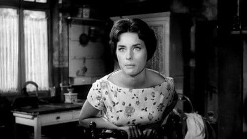 Das Mädchen mit den Katzenaugen Bild 2