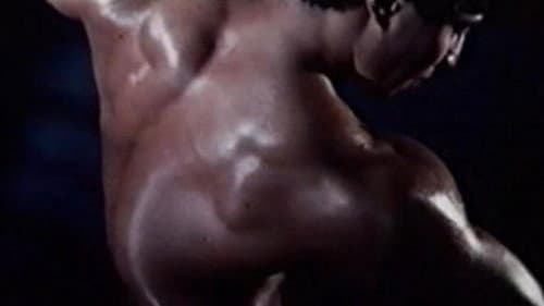 Muscle Bild 5