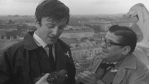 Die Freunde der Margerite Bild 1