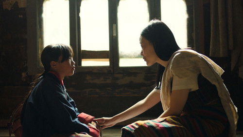 Was will der Lama mit dem Gewehr? Bild 6