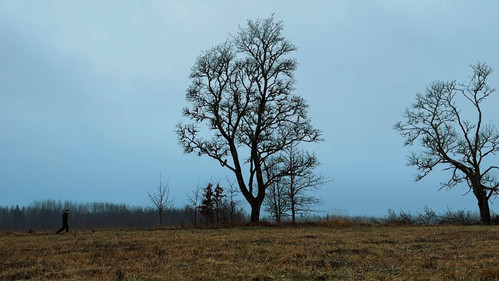 Vecgada vakara slaktiņš 2 Bild 5