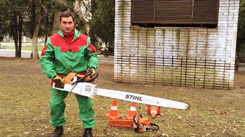 Склероз Bild 4