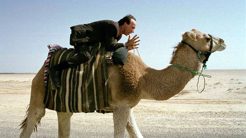 Der Tiger und der Schnee Bild 2