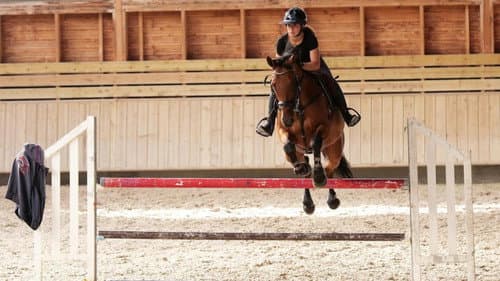 Au galop ! une saison à cheval Bild 1