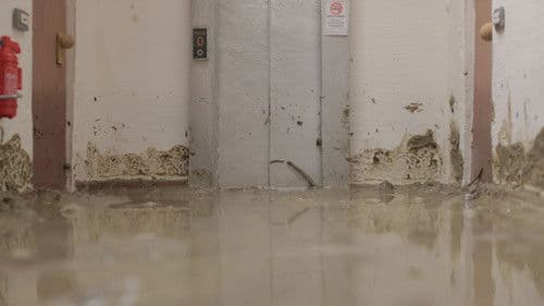 Il tempo del fiume Bild 1