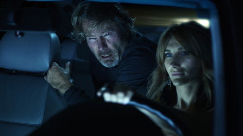 The Black Dove Bild 3