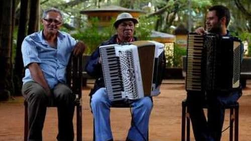 O Milagre de Santa Luzia Bild 1