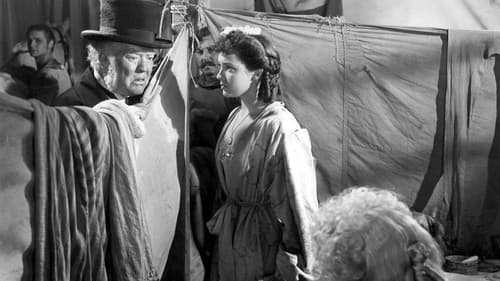 Der Tod des alten Zirkuslöwen Bild 3