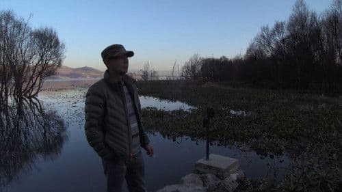 A Long Way Home Bild 1