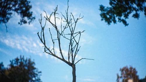 The River of Lethe Bild 1