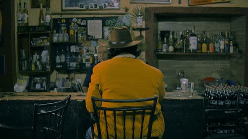 Agaves al alba Bild 8