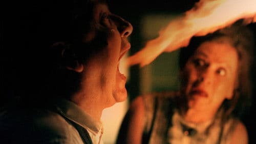 Kuschelnester Bild 1