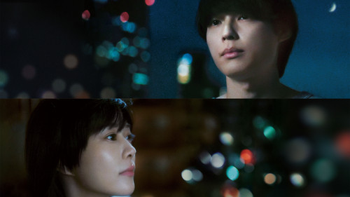 秒速5センチメートル Bild 2