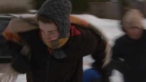 The Shovelers Bild 4