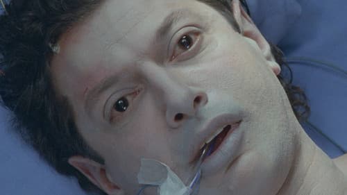 Hideaway - Das Versteckspiel Bild 7