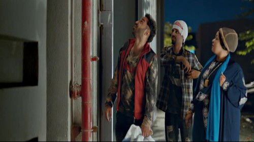 كلب بلدي Bild 2