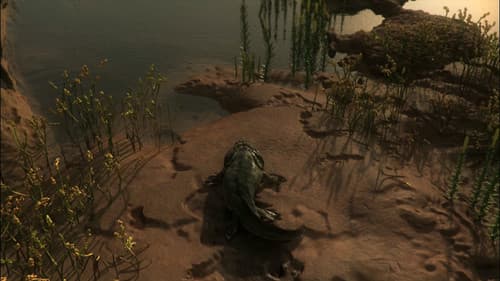 Tierische Evolution mit David Attenborough Bild 3