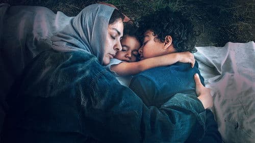 در آغوش درخت Bild 6