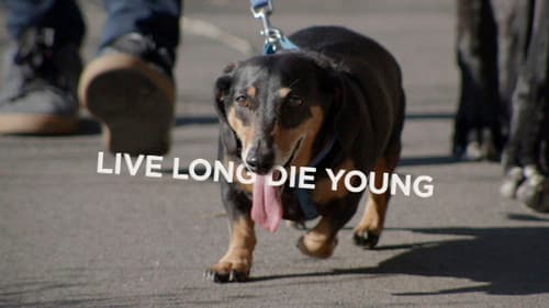 Live Long Die Young Bild 1