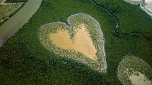 Nature : pour une réconciliation Bild 5