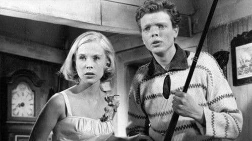 Sommerfrische gesucht Bild 2