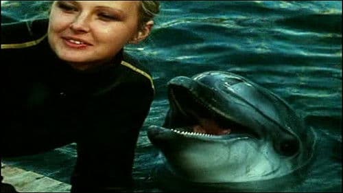 Люди и дельфины Bild 2