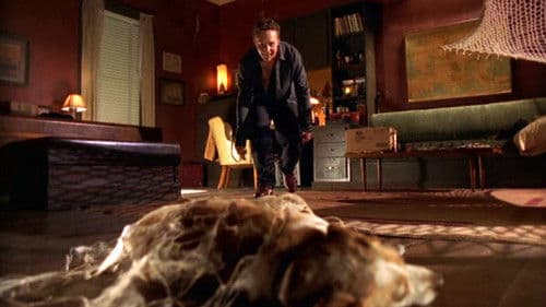 Spinnen des Todes Bild 1