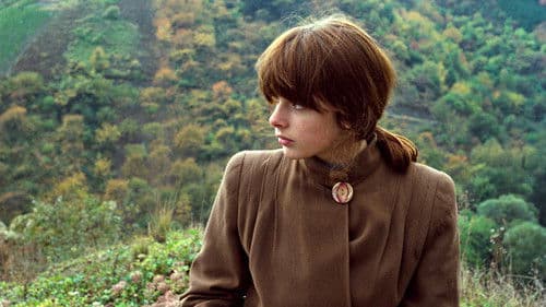 Falsche Bewegung Bild 7