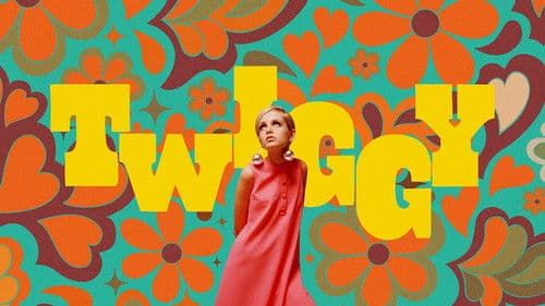 Twiggy Bild 2
