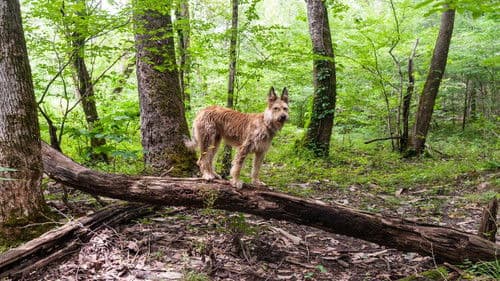 The Science Adventures of Tom & Huck Bild 7