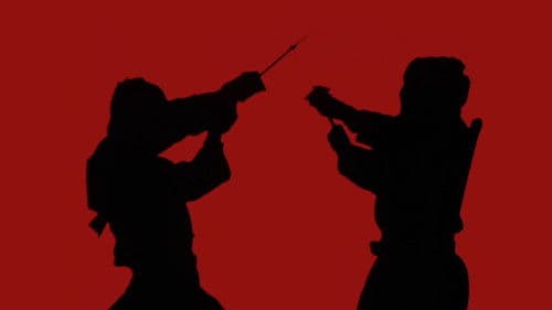 Der Ninja-Meister Bild 3