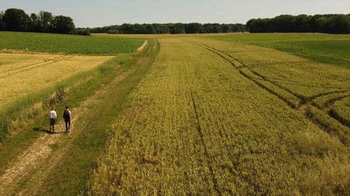 Pray Not to Die Bild 1