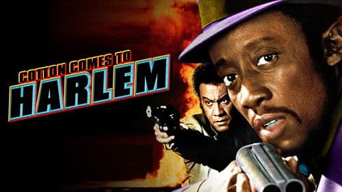 Wenn es Nacht wird in Manhattan Bild 7