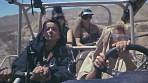 Phönix - The Warrior Bild 2