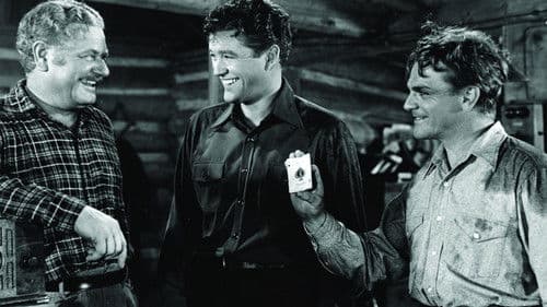 Helden der Lüfte Bild 5