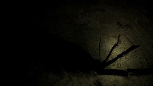 The Borderlands Bild 5