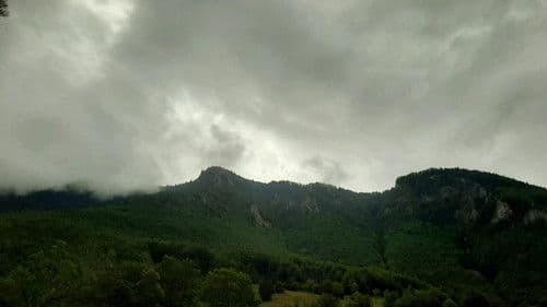 Tourist;Drifter Bild 1