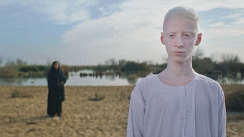 ضي (سيرة أهل الضي) Bild 2