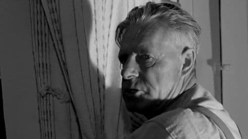 Cornet at Night Bild 2