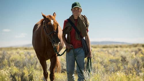 Lean on Pete Bild 5