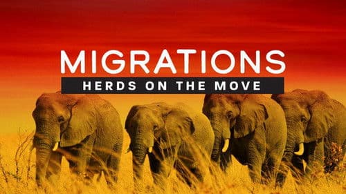 Migrations: Herds on the Move Bild 3