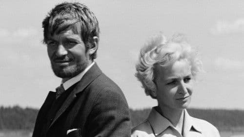 Birželis, vasaros pradžia Bild 3